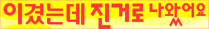 이긴 바둑이 진걸로 나왔어요